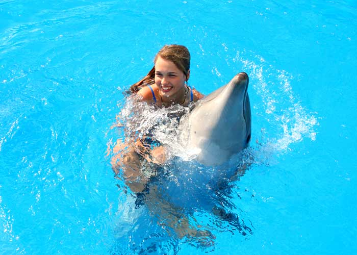 Belek Dolphin Swim